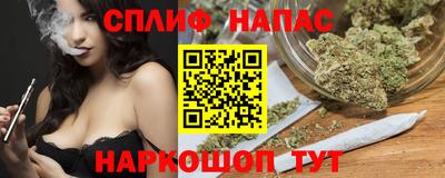 сатива Гагарин
