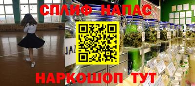 mdpv Гатчина