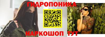 mdpv Гатчина